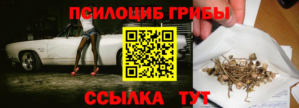Псилоцибиновые грибы прущие грибы Наро-Фоминск